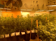 اعتقال ثلاثة مشتبهين من اللد بعد ضبط مختبر لتنمية مخدرات